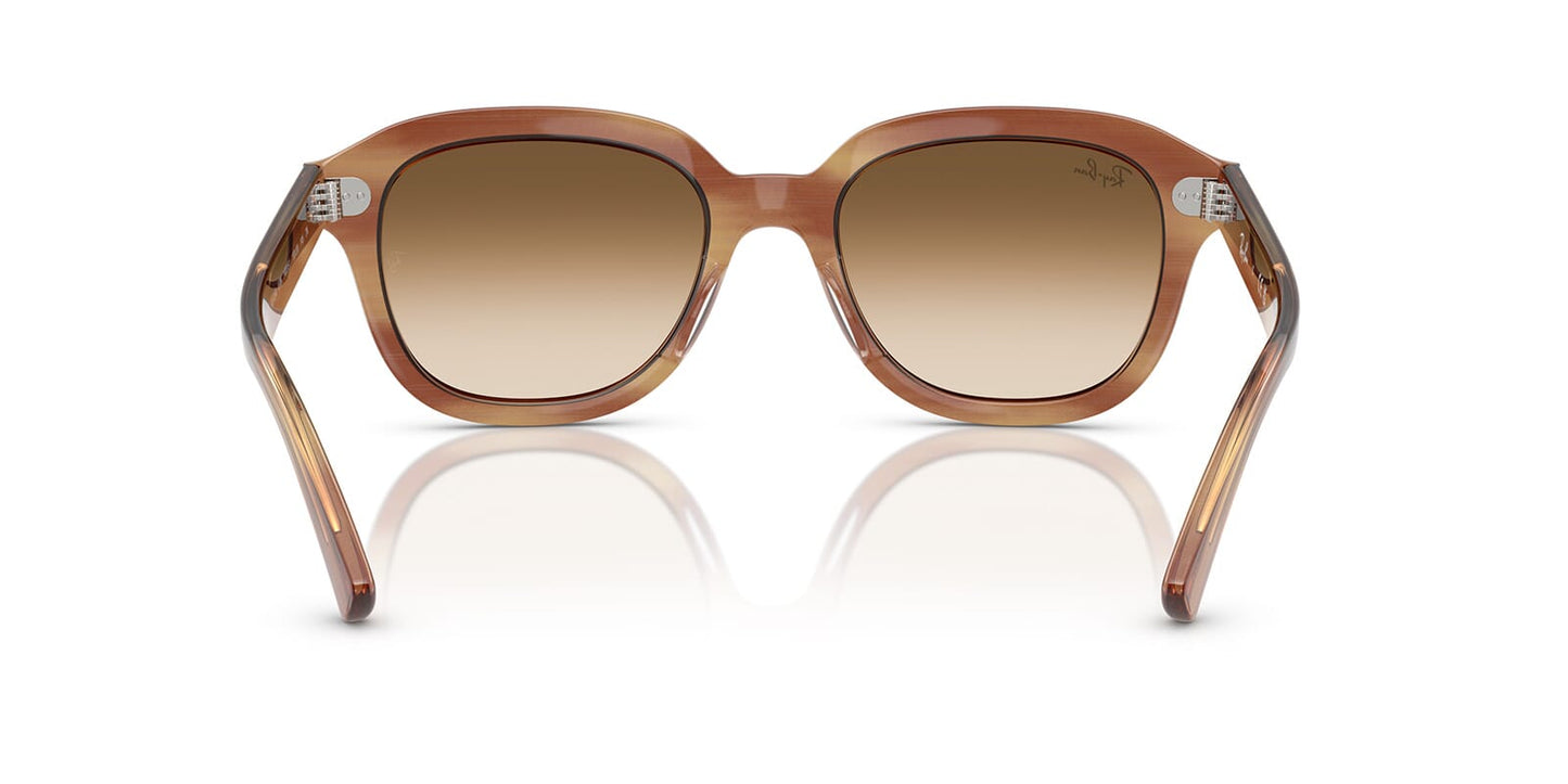 Ray-Ban Erik RB 4398 1403/51