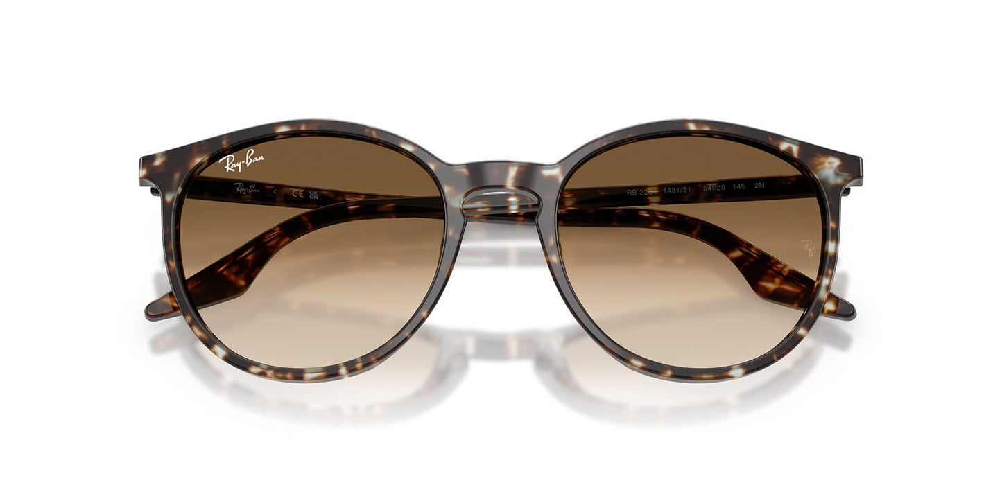 Ray-Ban RB 2204 1431/51