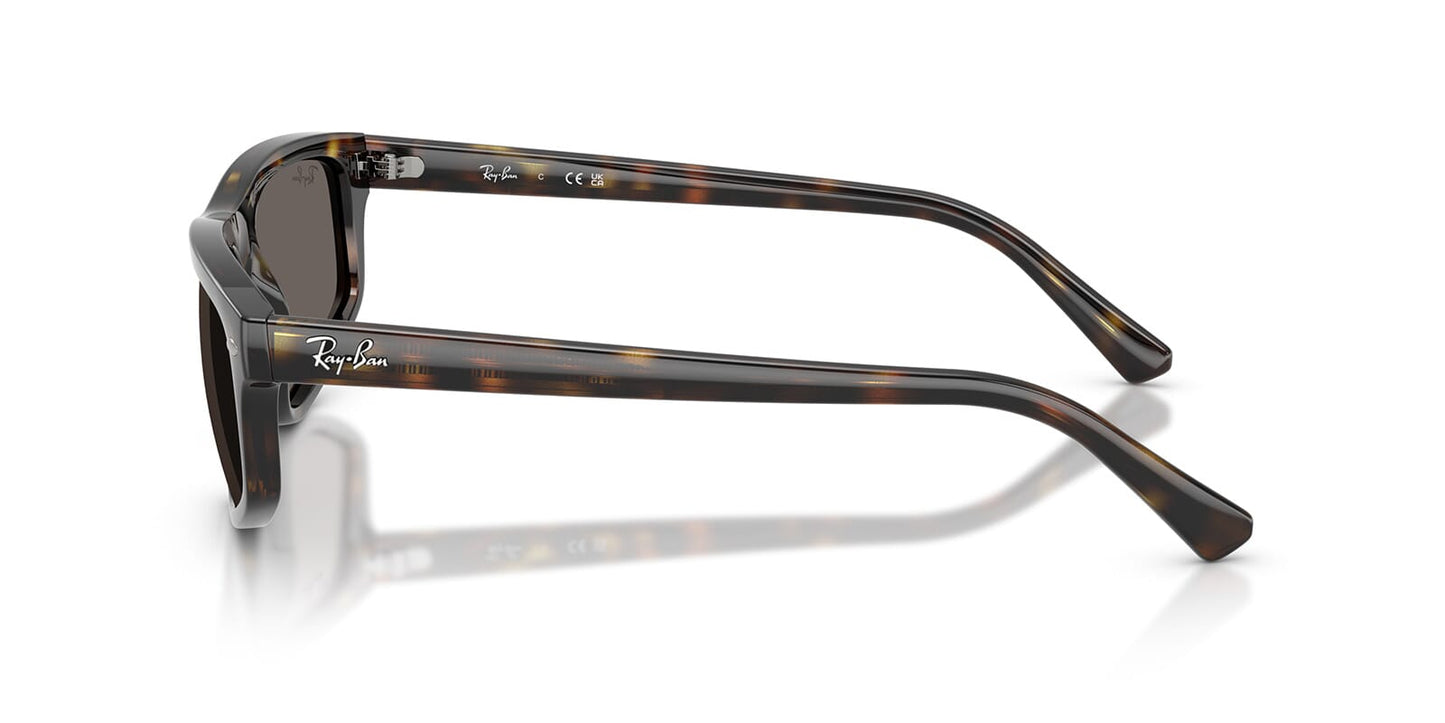 Ray-Ban RB 2225 710/B1