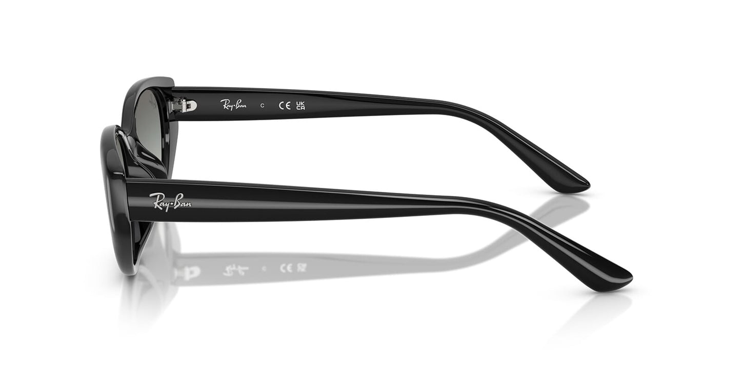 Ray-Ban RB 4457D 6677/11
