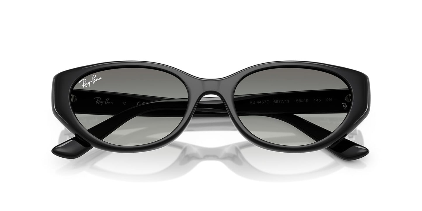 Ray-Ban RB 4457D 6677/11