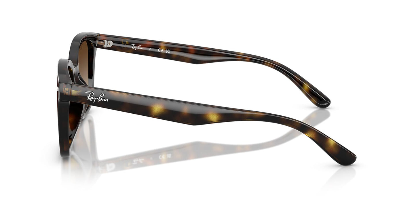 Ray-Ban RB 4461D 710/13